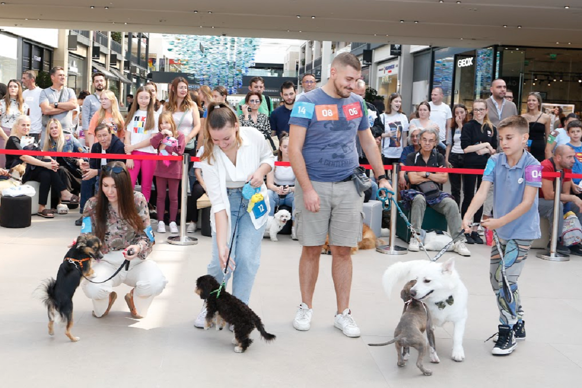 Subota u znaku kućnih ljubimaca – Revija pasa i prilika za udomljavanje na prvom „Pet festivalu“ u Nišu